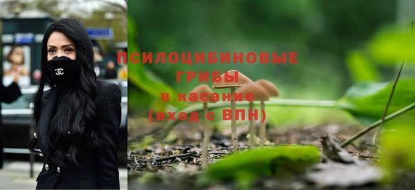 круглые Абаза