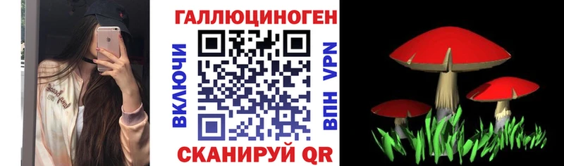 Псилоцибиновые грибы Magic Shrooms Чита
