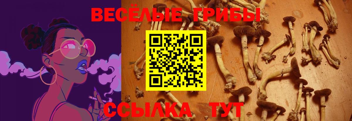 A-PVP Чита